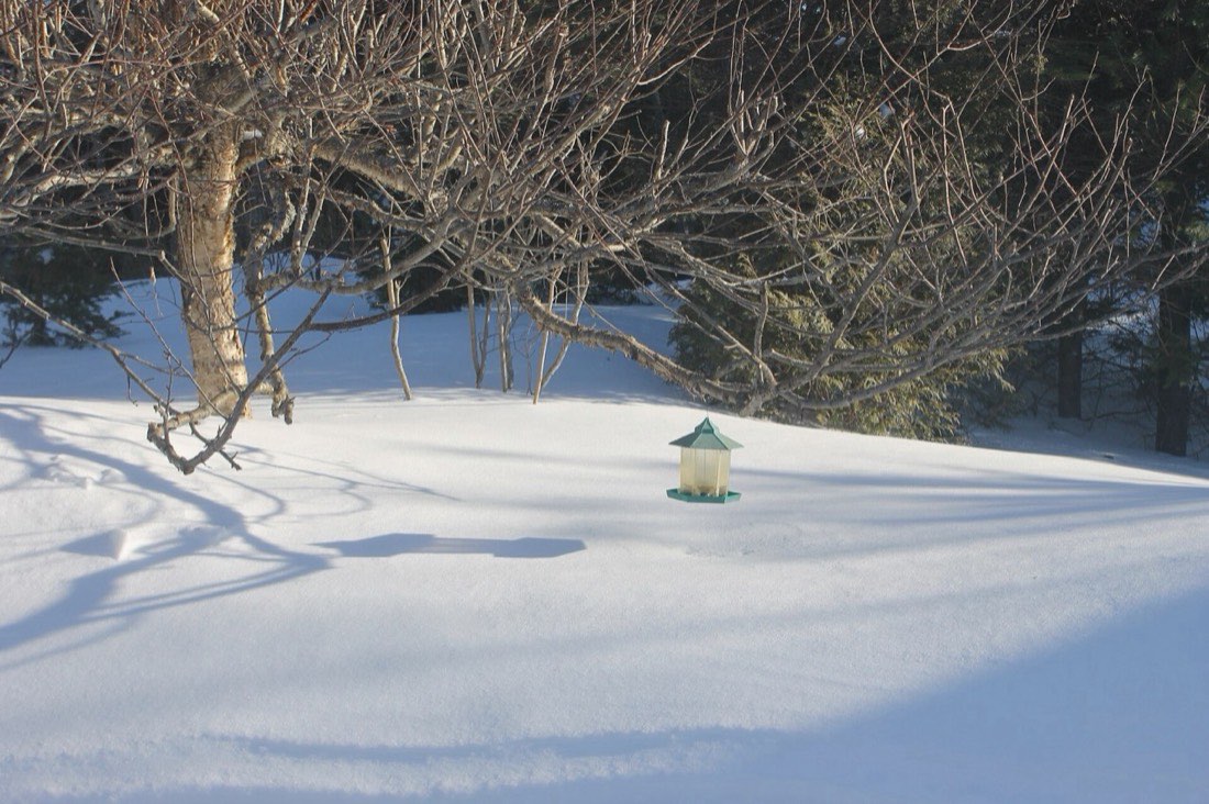 December: shelter is half the job