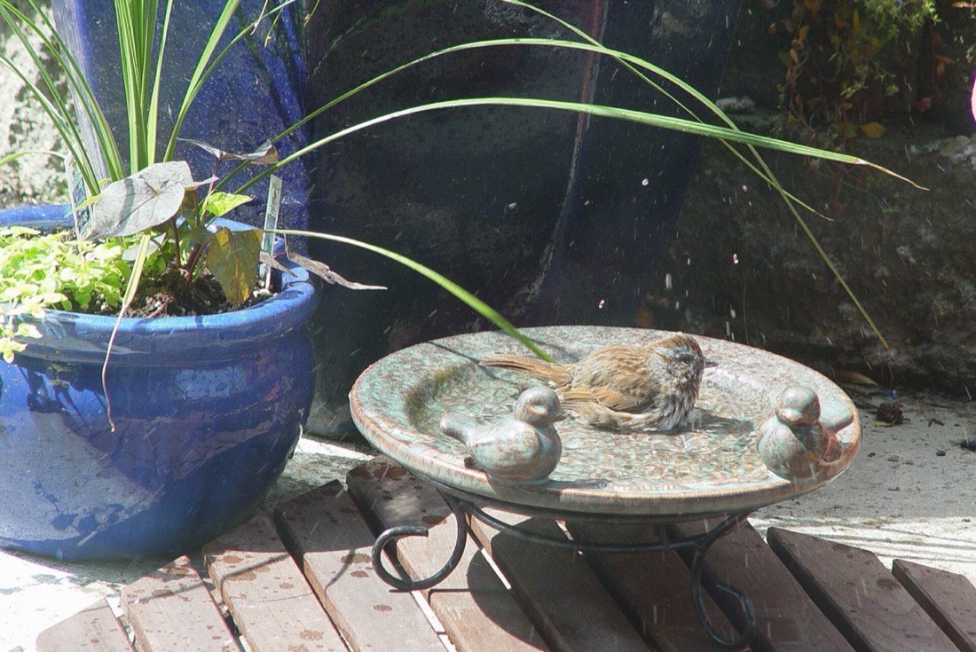 July: hygiene in the heat