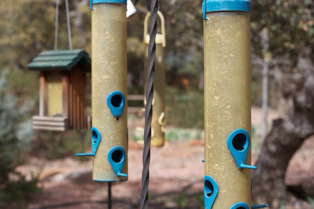 March: hold off on heavy pruning